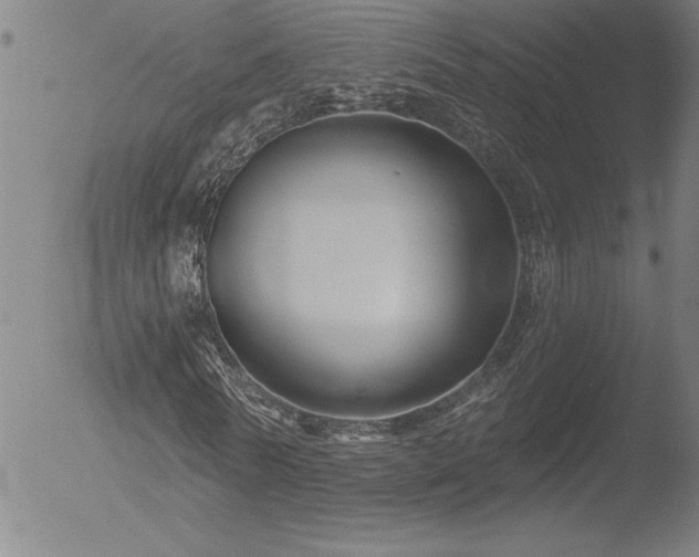 X0000052940770200507081143