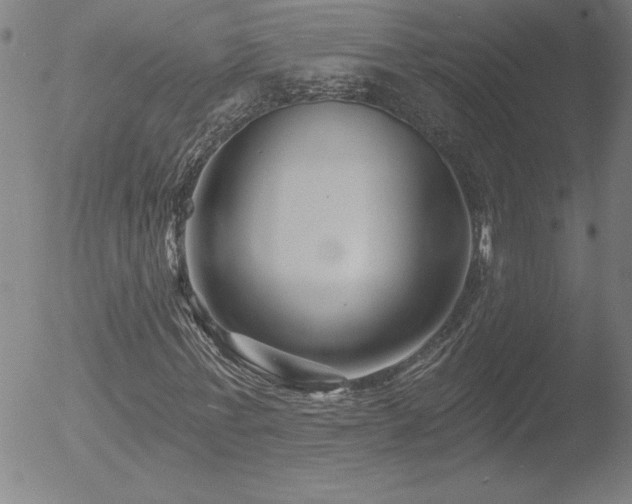 X0000052940771200507081143