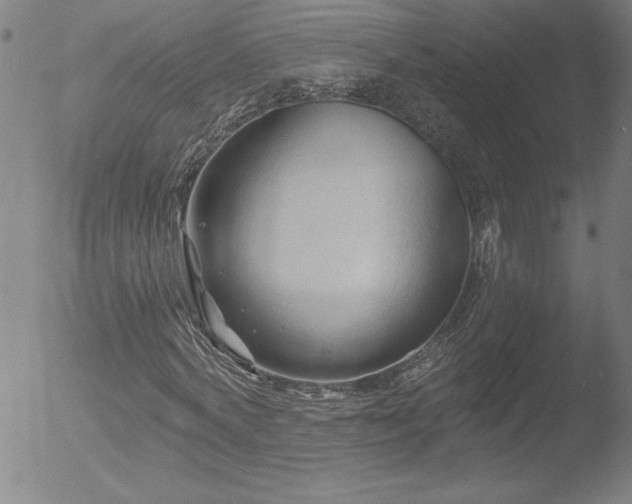 X0000052940772200507081143