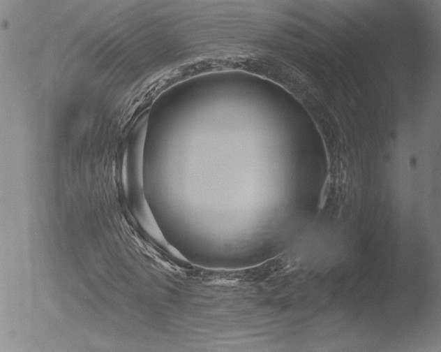 X0000052940773200507081143