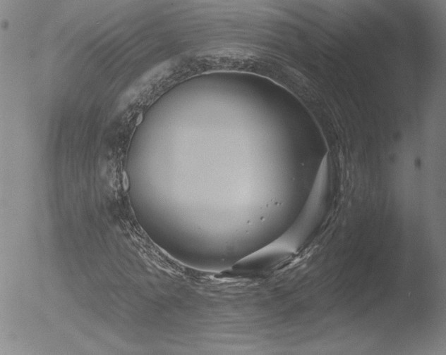 X0000052940774200507081143