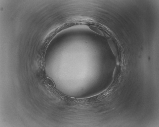 X0000052940775200507081143