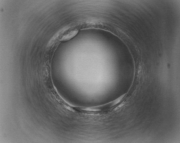 X0000052940776200507081143