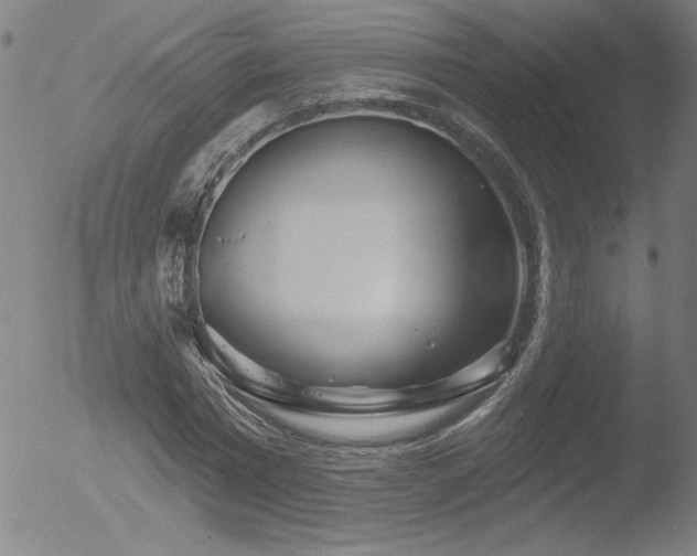 X0000052940777200507081143