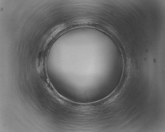 X0000052940778200507081143