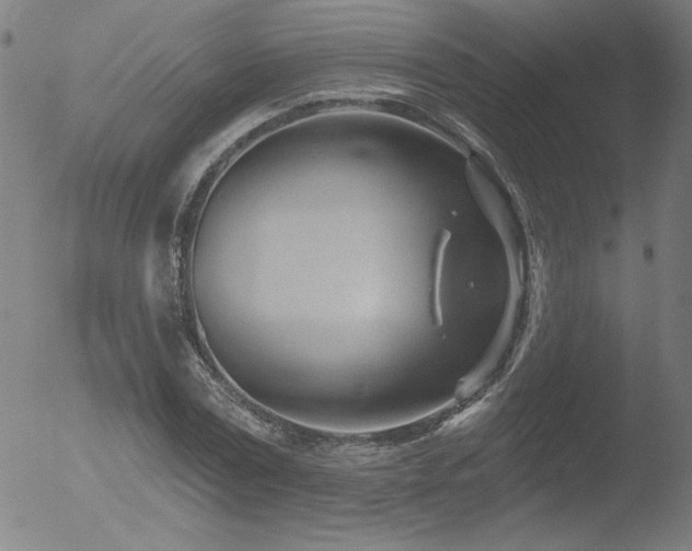 X0000052940779200507081143