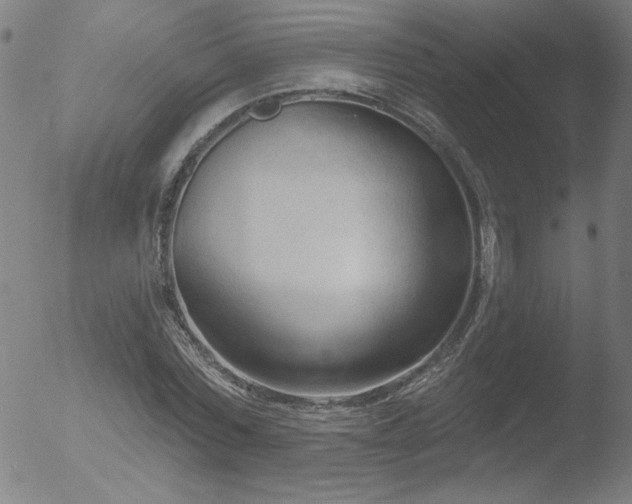 X0000052940780200507081143