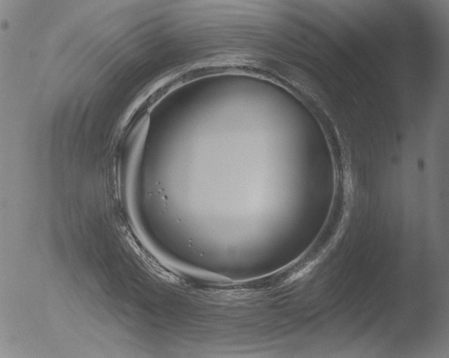 X0000052940781200507081143