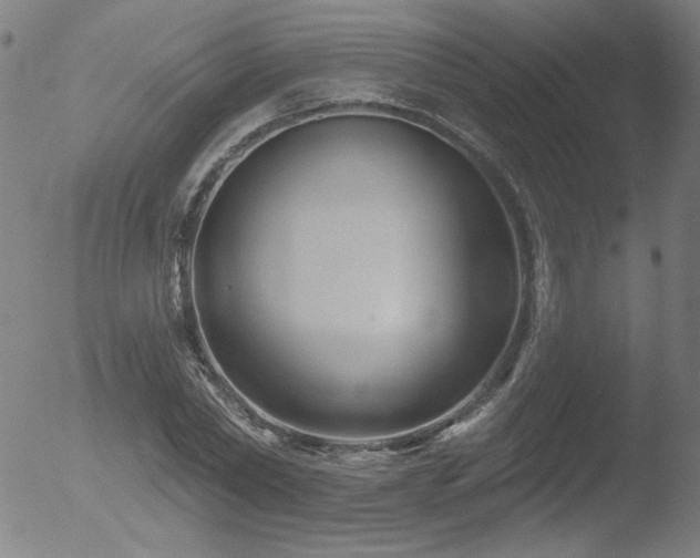 X0000052940782200507081143