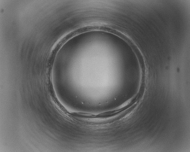 X0000052940783200507081143