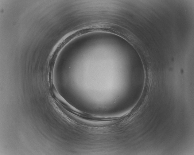 X0000052940784200507081143