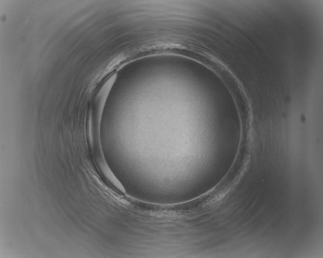 X0000052940785200507081143