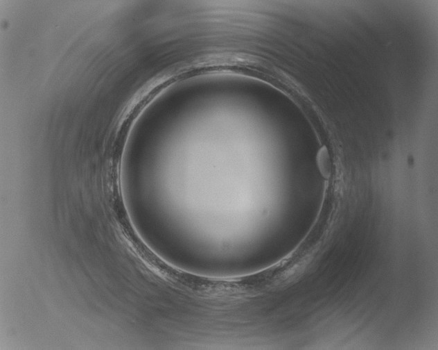 X0000052940786200507081143