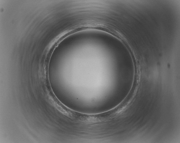 X0000052940787200507081143