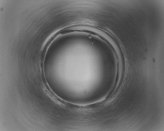 X0000052940788200507081143