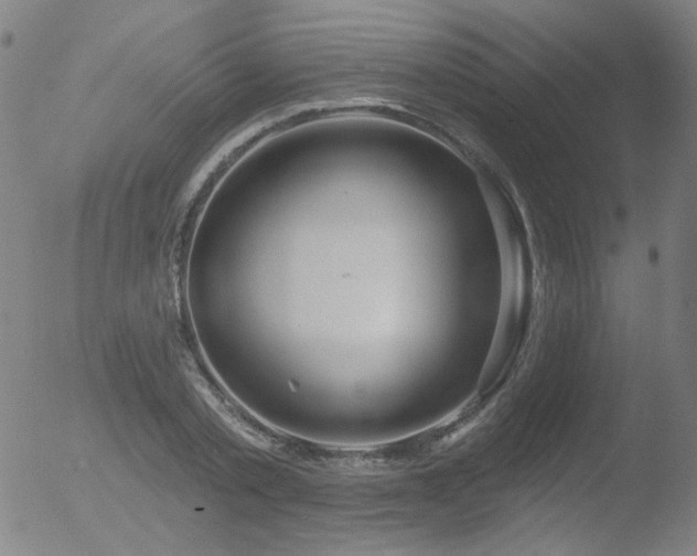 X0000052940789200507081143