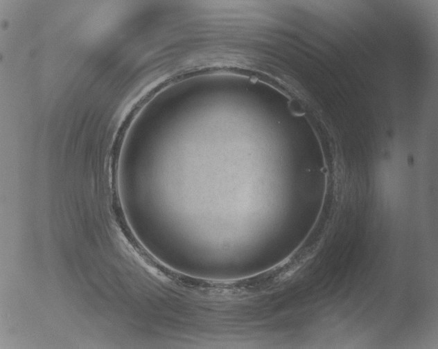 X0000052940790200507081143