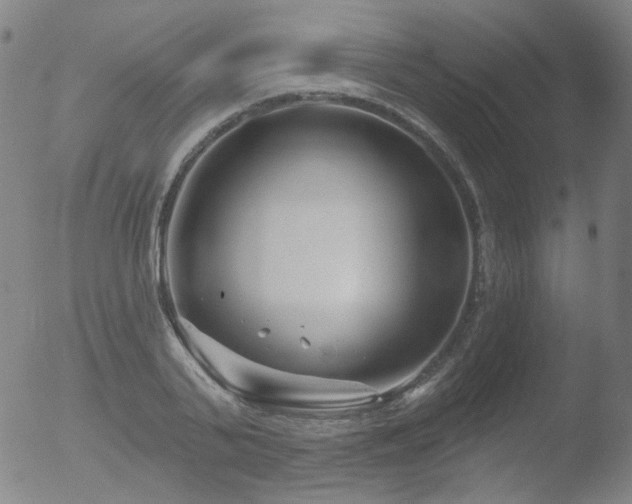 X0000052940791200507081143