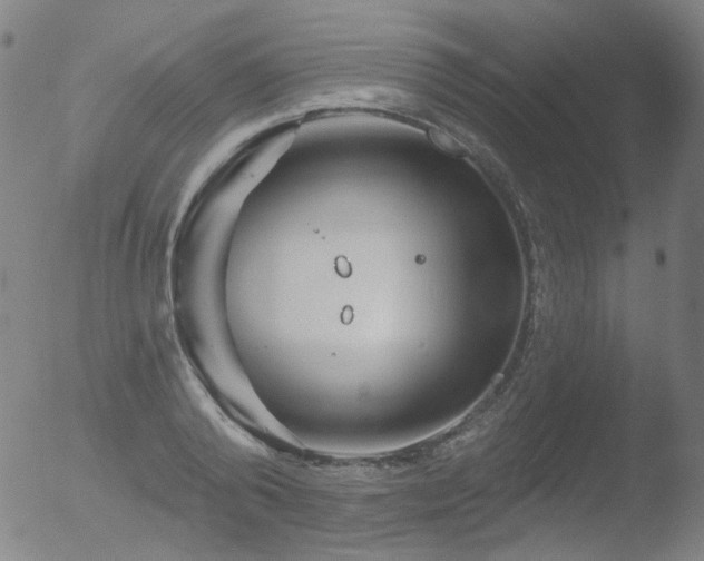 X0000052940792200507081143