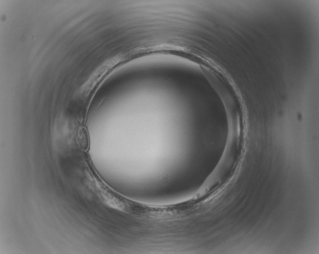 X0000052940793200507081143