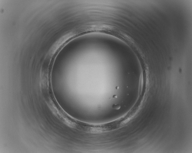 X0000052940794200507081143