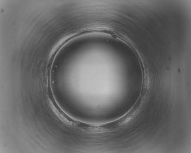 X0000052940795200507081143