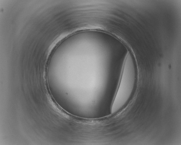 X0000052940797200507081143