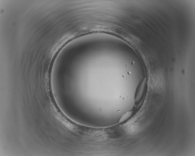 X0000052940798200507081143