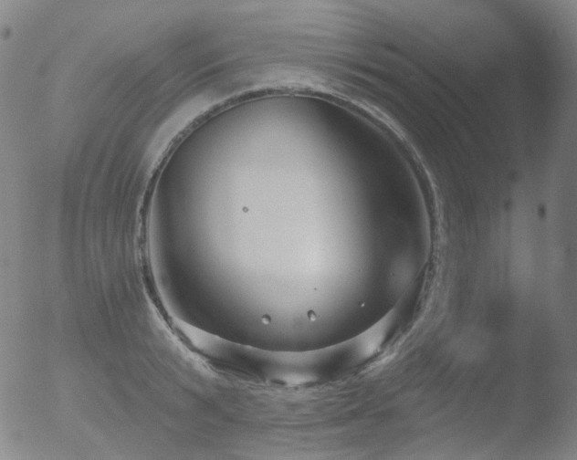 X0000052940799200507081143