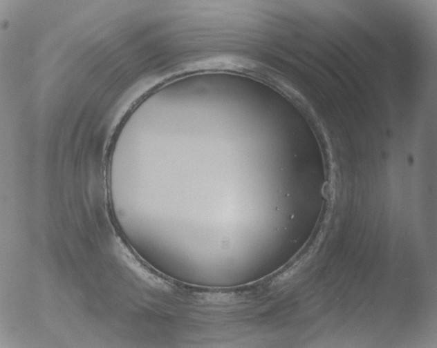 X0000052940800200507081143