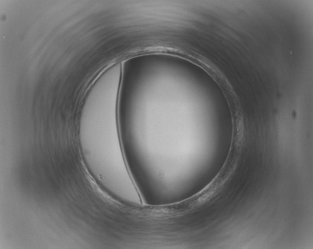 X0000052940801200507081143