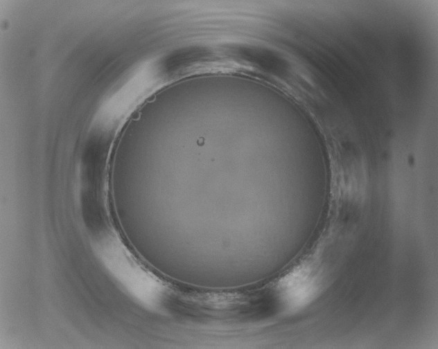 X0000052940802200507081143