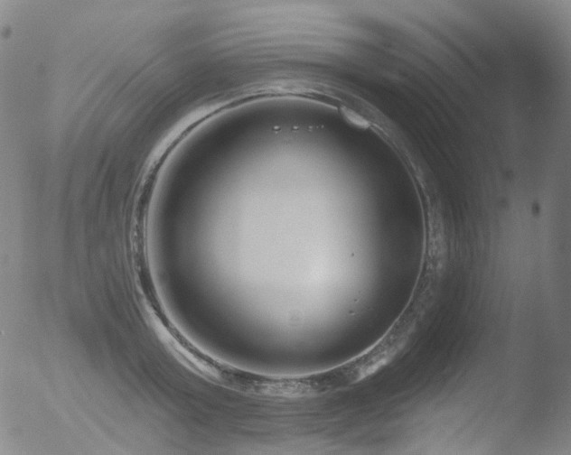 X0000052940803200507081143