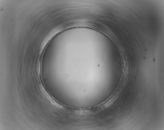 X0000052940804200507081143