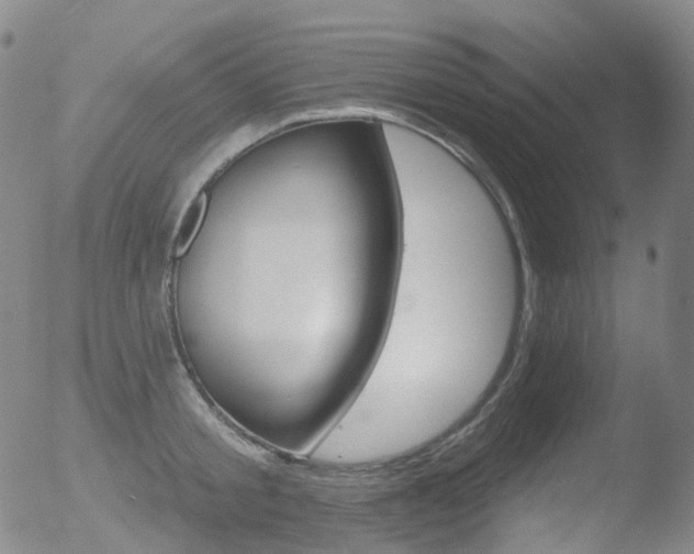 X0000052940805200507081142