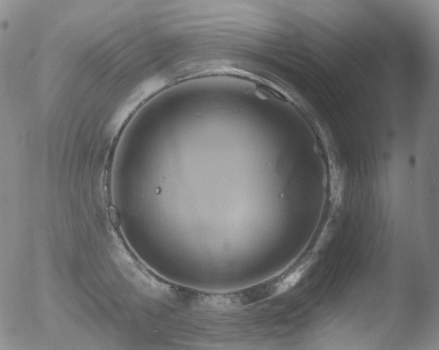 X0000052940806200507081142