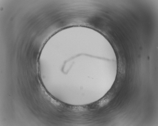 X0000052940807200507081142