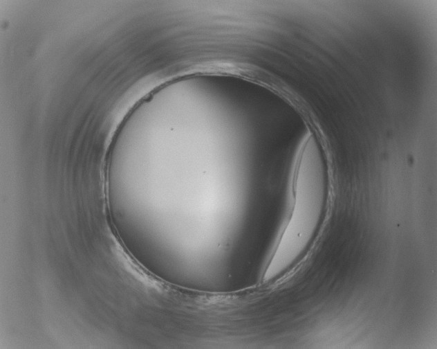 X0000052940808200507081142