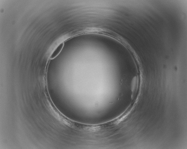 X0000052940810200507081142