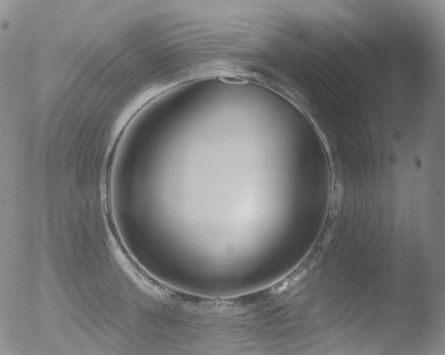 X0000052940811200507081142