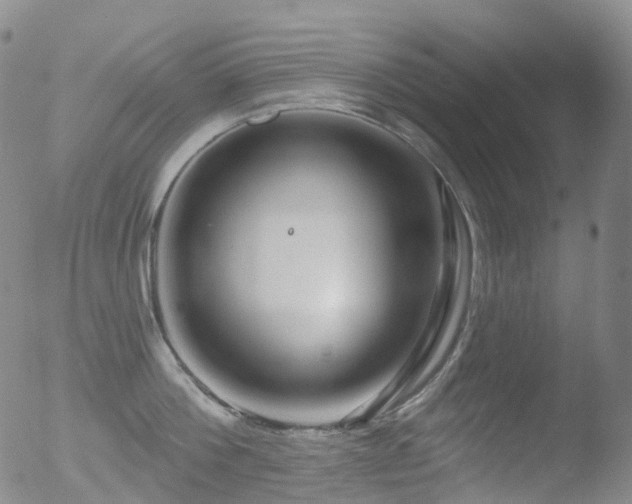 X0000052940812200507081142