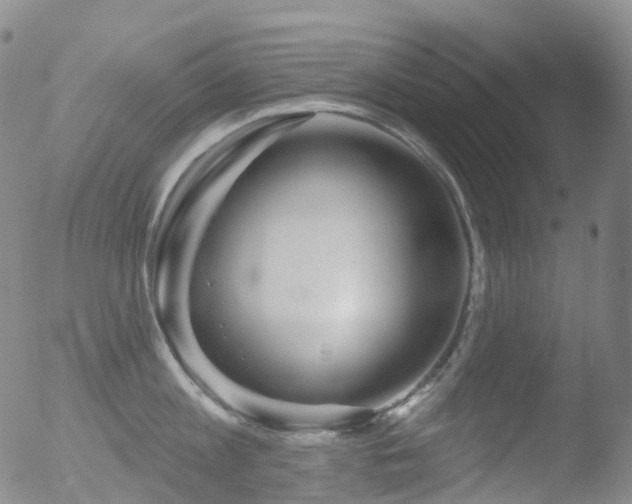 X0000052940813200507081142