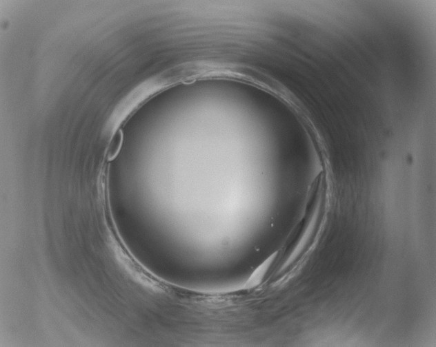 X0000052940814200507081142