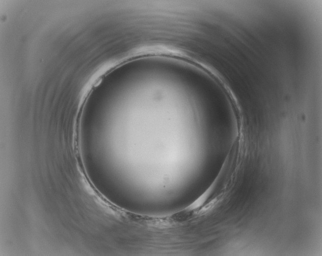 X0000052940815200507081142