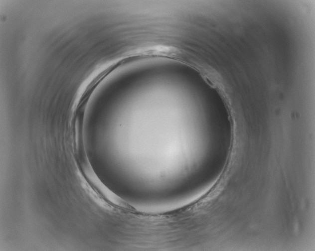 X0000052940816200507081142