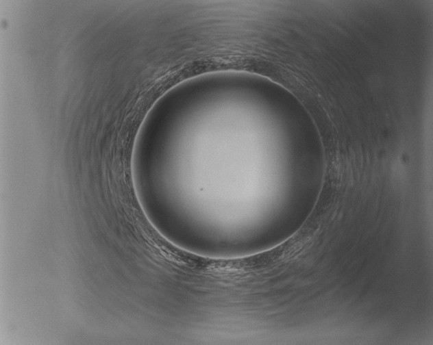 X0000052940817200507081142