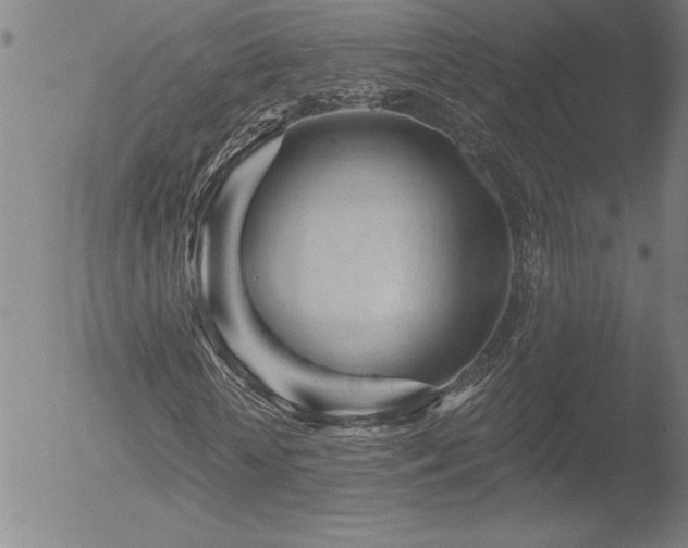 X0000052940818200507081142