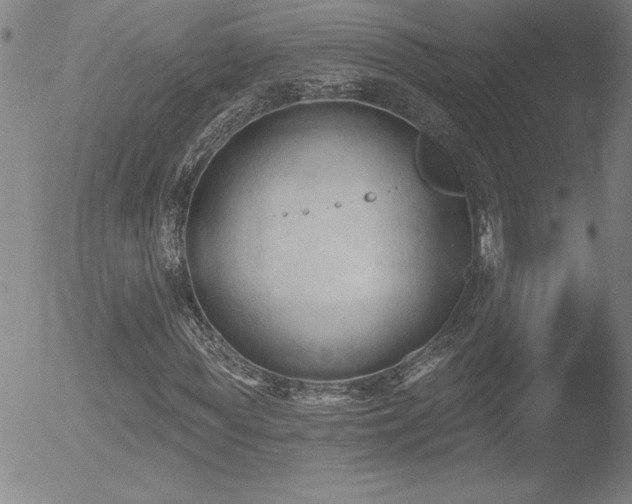 X0000052940819200507081142