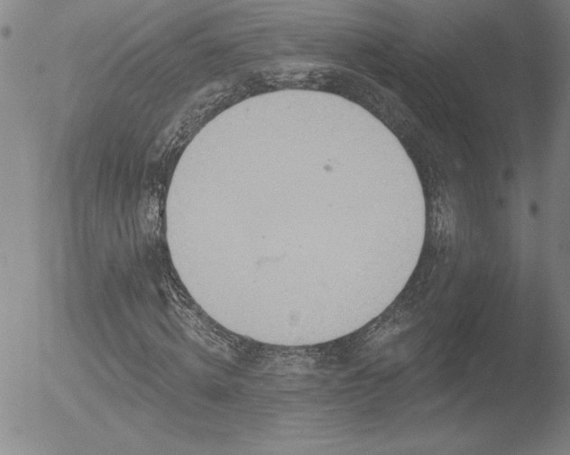 X0000052940820200507081142