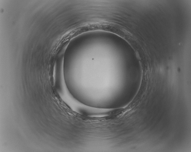 X0000052940822200507081142